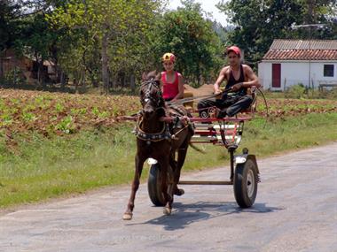 2004 Cuba, Maria la Gorda - Cayo Levisa, DSC00619 B_B720